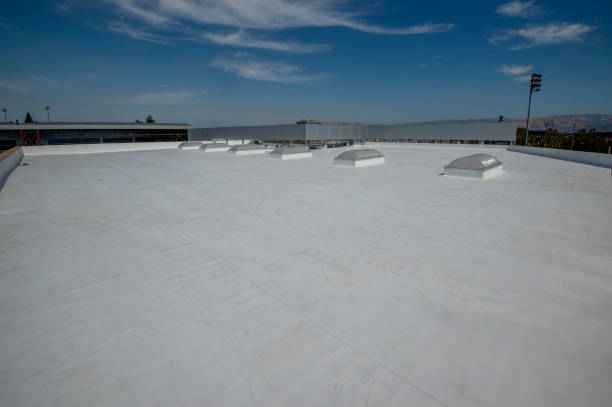 Best Rubber Roofing (EPDM, TPO)  in Sulligent, AL